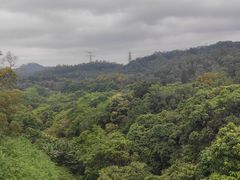 -深圳仙湖植物园