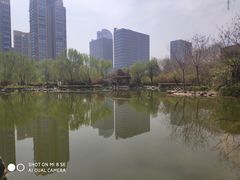-木塔寺遗址生态公园