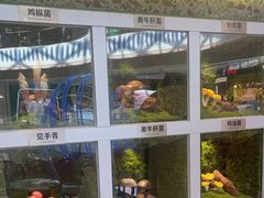 -芸山季·云南山珍菌火锅(南翔印象城MEGA店)