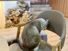 -白兔子密室(长寿路店)