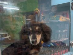 -FAELING PETS美天灵宠物(合生汇店)