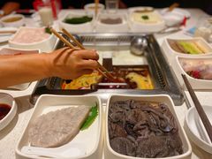 -海底捞火锅(高科广场店)