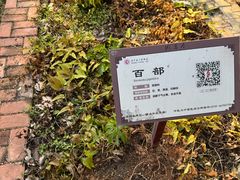 -马王堆汉墓遗址