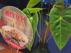-望湘园·洞庭渔宴(浦江欢乐颂店)