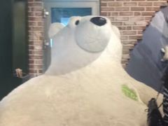 -济州岛泰迪熊博物馆