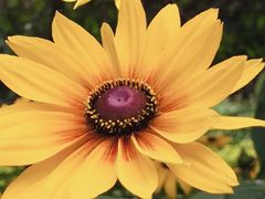 -长春公园(普阳街道)