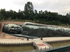 -三水森林公园