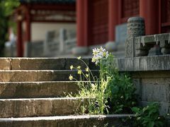 -开福禅寺