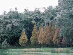 -福建鲤鱼洲酒店