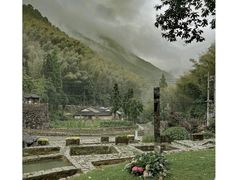 -MOJ coffee(瓯海泽雅水碓坑店)