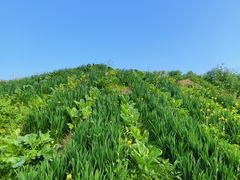 -西南政法大学(渝北校区)