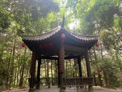 -窦圌山风景区