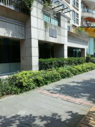 -榕树上·瑜伽普拉提