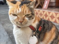 -Again Coffee Roaster(香蜜湖店)