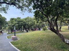 -四海公园(南山区)