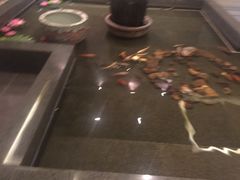 -水立方3号洗浴会馆(曼哈顿店)