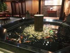 -老六杀猪菜(进乡街店)