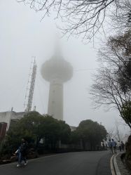 点击看大图 -WENDY·温迪皮肤管理