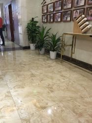 -深圳阳光医疗美容医院·旗舰店