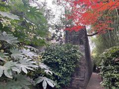 -水绘园