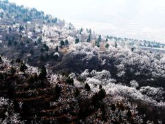 -定都峰