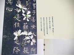 -五观堂素食(新华路店)