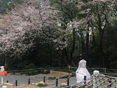 -杭州少年儿童公园