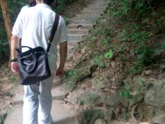 -火炉山森林公园