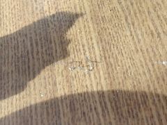 -比格比萨自助(国展店)