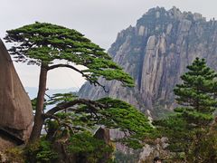 -巧手推拿中心(盲人推拿)