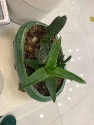 -慈蕊美容养生·专业经络调理