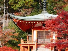 -醍醐寺