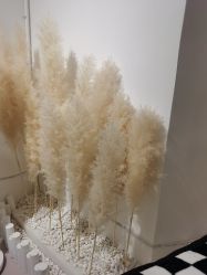 -ST时柒·问题肌抗衰美颜所