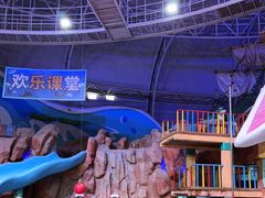 -烟台海昌鲸鲨海洋公园