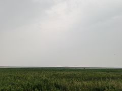 -金山嘴渔村