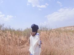 -水洞沟旅游区