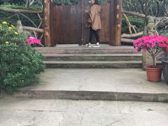 -秀丽东方