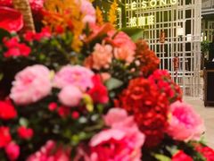 -松咖啡自助餐厅·松北香格里拉