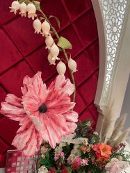 -尊尚柏丽美容SPA