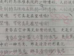 -赵汝飞练字硬笔书法(博泰国际校区)