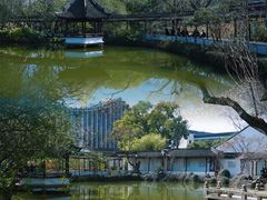 -上海醉白池公园