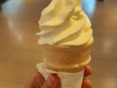 圆筒冰淇淋-麦当劳(总统大酒店店)