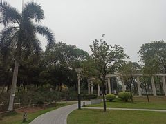 -文华公园(禅城区)
