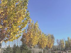 -东郊湿地公园