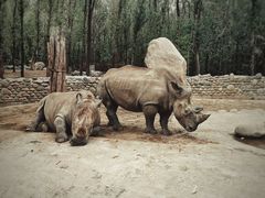 -北京野生动物园