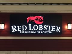 -RED LOBSTER(多伦多DT店)