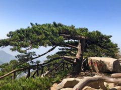 -罗田薄刀峰风景区