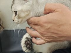 -美联众合动物医院·24h京西诊疗中心