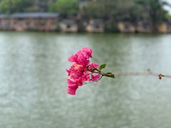 -观澜山水田园