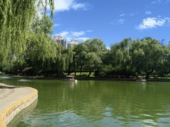 -团结湖公园